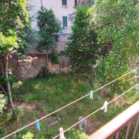 Vjeko Apartman *